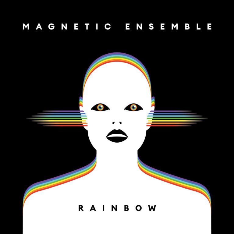 Magnetic Ensemble