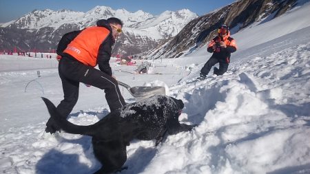 maître chien d'avalanche