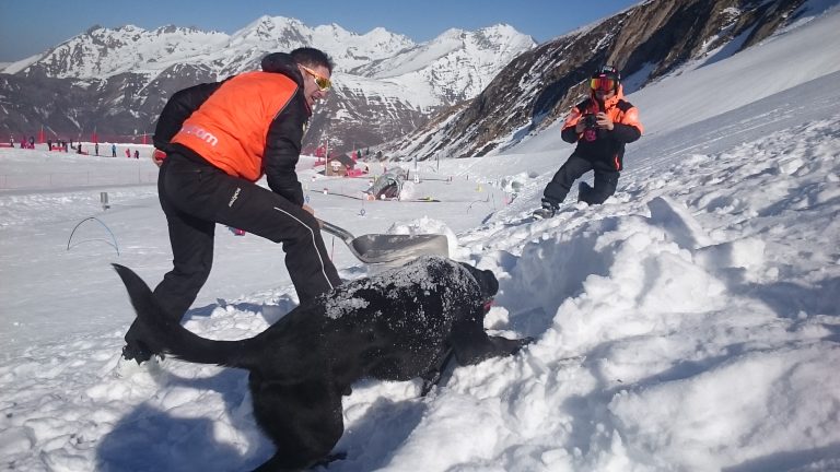 maître chien d'avalanche