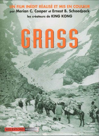 Grass