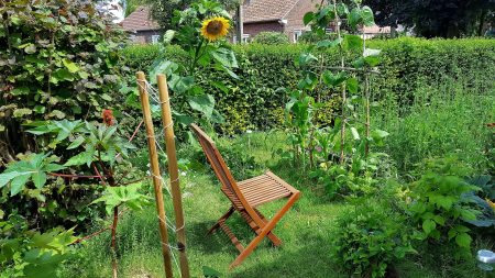 3 chro permaculture