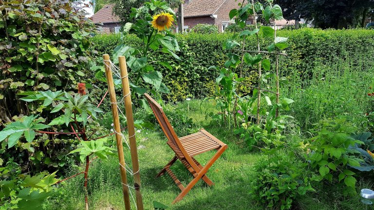 3 chro permaculture