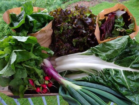 La Permaculture au delà du potager !