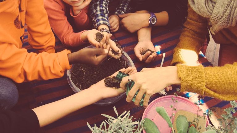 La permaculture créatrice de lien 