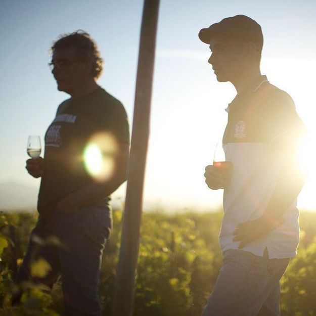 Wine Calling à Luz