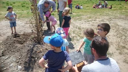 Des peupliers plantés par les enfants sur les berges du Bastan