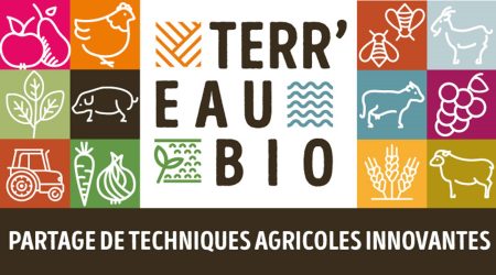 Agroforesterie