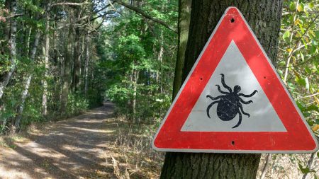 lyme tour
