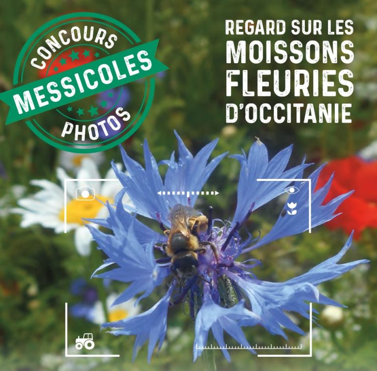 CONCOURS PHOTOS « Regards sur les moissons fleuries d’Occitanie »
