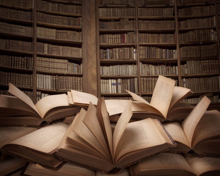 Libre livre avec l'association d'Argeles-Gazost "Des Mots pour le dire" 