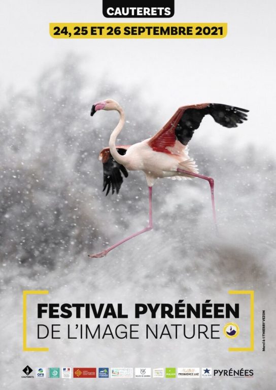 Un avant goût du Festival Pyrénéen de l'Image Nature avant son lancement !