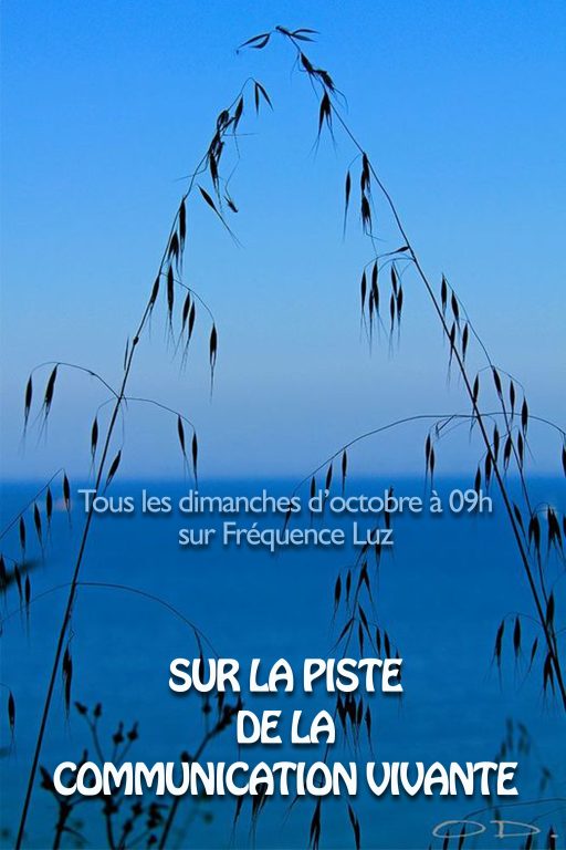 Présentation de votre nouvelle émission "SUR LA PISTE DE LA COMMUNICATION VIVANTE