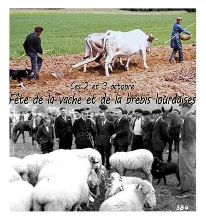 2ème édition de la Fête de la vache et de la brebis lourdaises ces 2 et 3 octobre !
