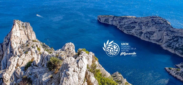 Des nouvelles du Congrès Mondial de la Nature avec Laurent Grandsimon