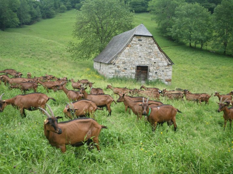 Cartes Blanches en Val d'Azun