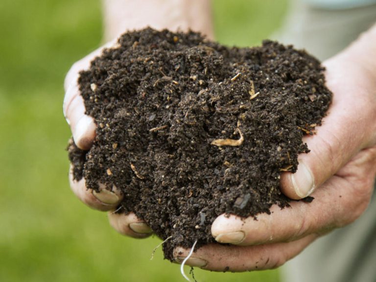 Cauterets sengage pour son environnement !