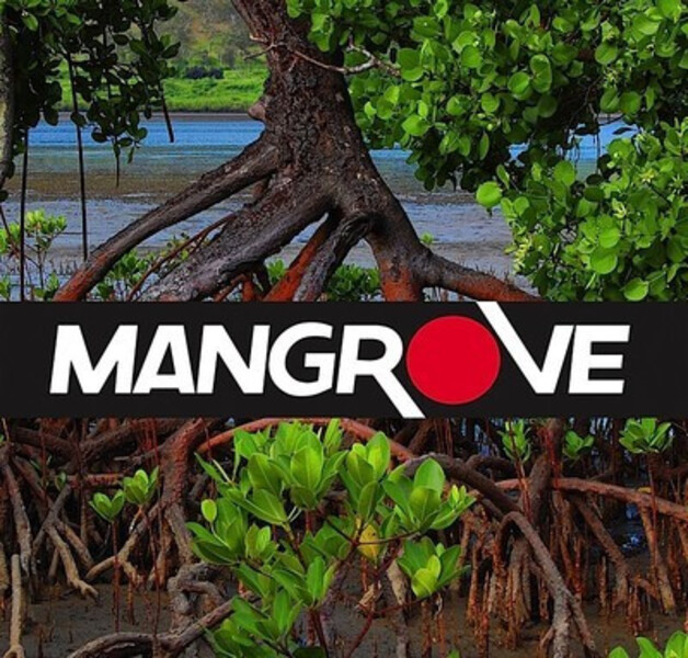 Mangrove logo