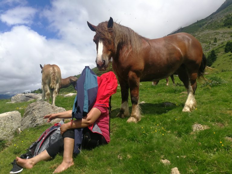 Contact avec la montagne