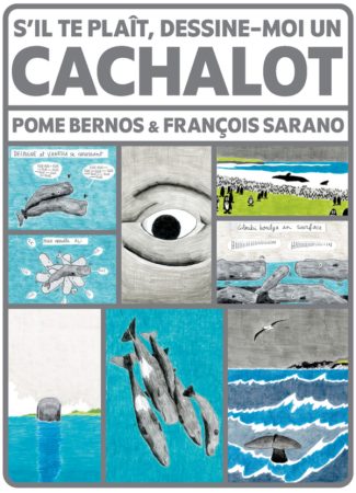 cachalot