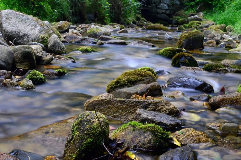 torrent de montagne