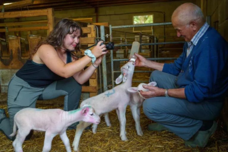 Amanda Meunier photographiant un paysan donnant le biberon à un agneau