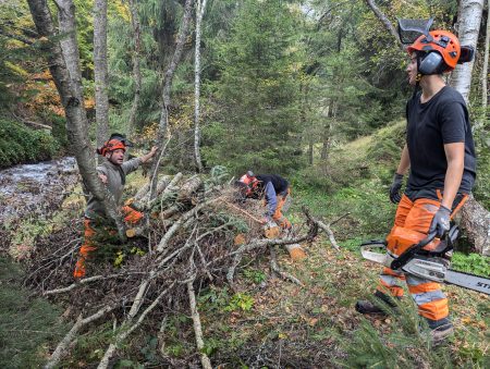 aux abords du ruisseau du Lienz