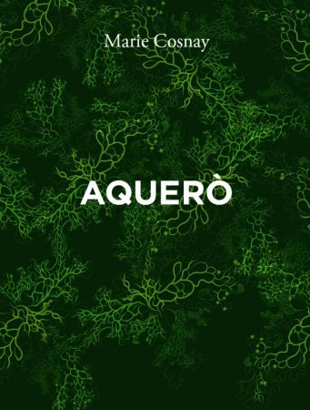 visuel du livre avec des dessins organiques sur un fond vert foncé