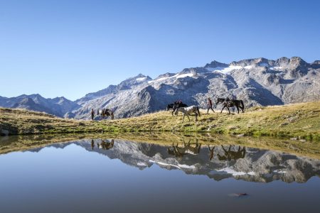 Adeline Abdala nous présente sa Ferme équetre Bernicaze