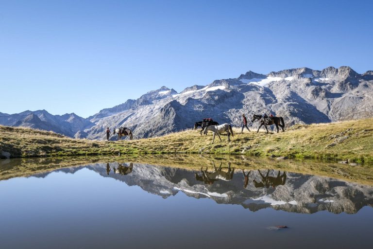 Adeline Abdala nous présente sa Ferme équetre Bernicaze