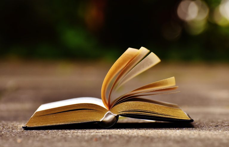 Les tourneurs de pages de la villa Oustau