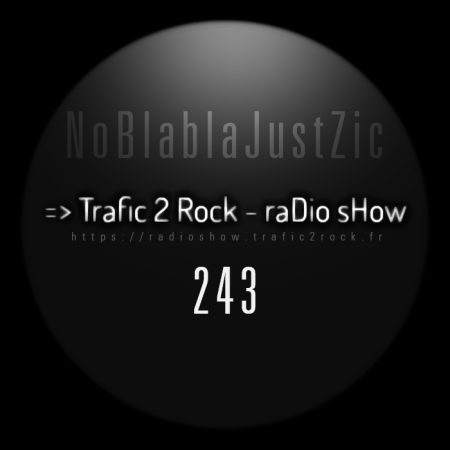 Trafic 2 Rock #243