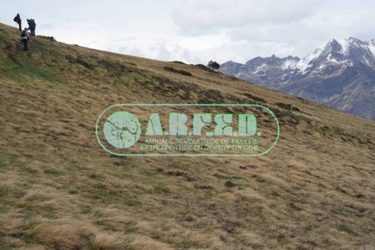 Soirée vernissage de l'exposition "Les Failles du Réel" ce 02 Juillet !