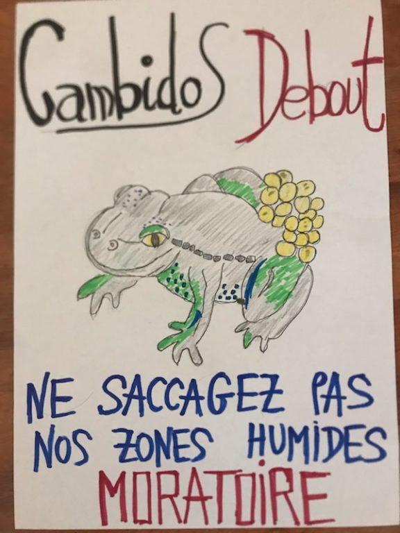 crapaud accoucheur
