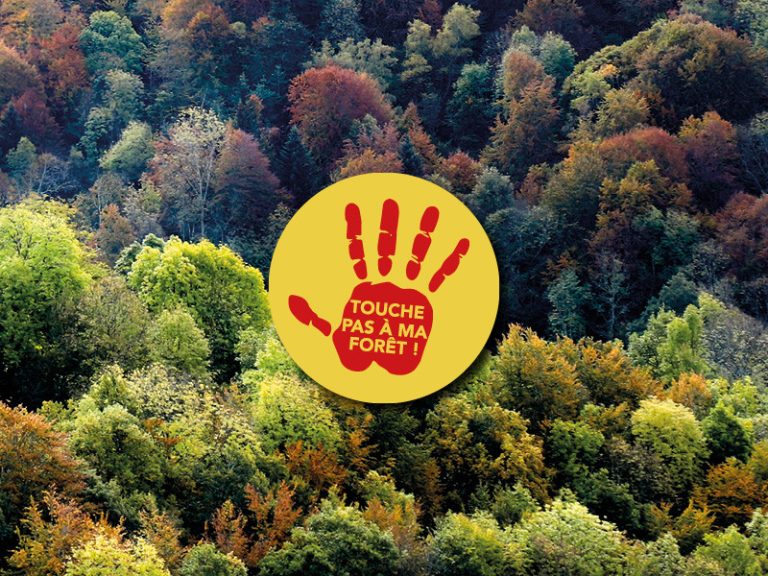 La Fête de la Forêt débarque à Nestier ce 20 septembre !