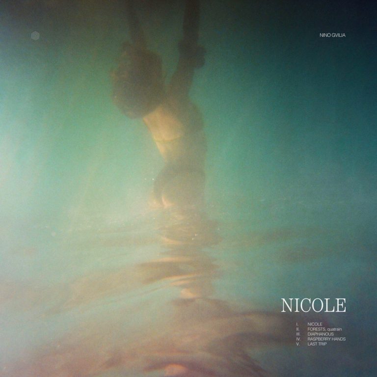 Pochette album Nicole de Nino Gvilia