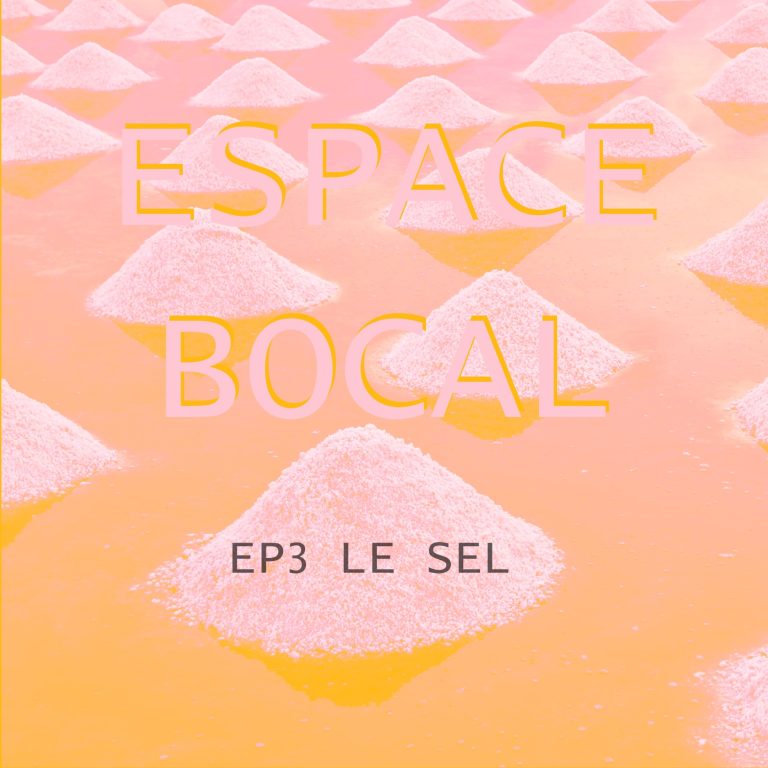 Visuel le sel