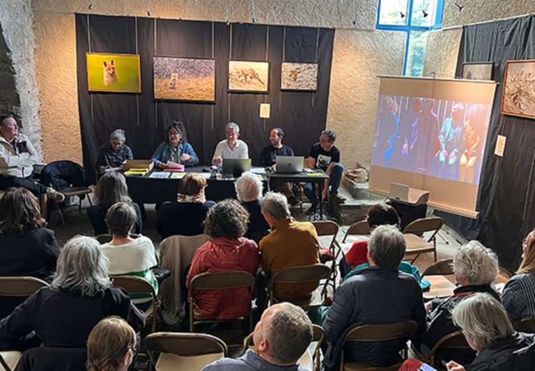 Jazz Pyr' vous invite à être curieux ce 10 Avril à la Maison de la Vallée de Luz !